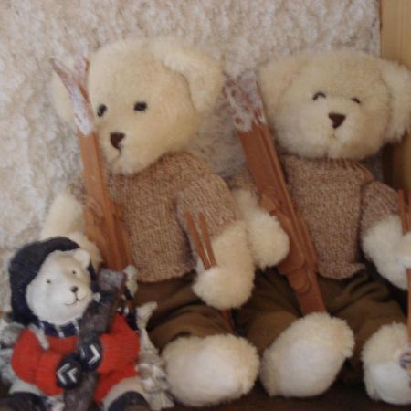Petit Ours Apartman Villars-sur-Ollon Kültér fotó